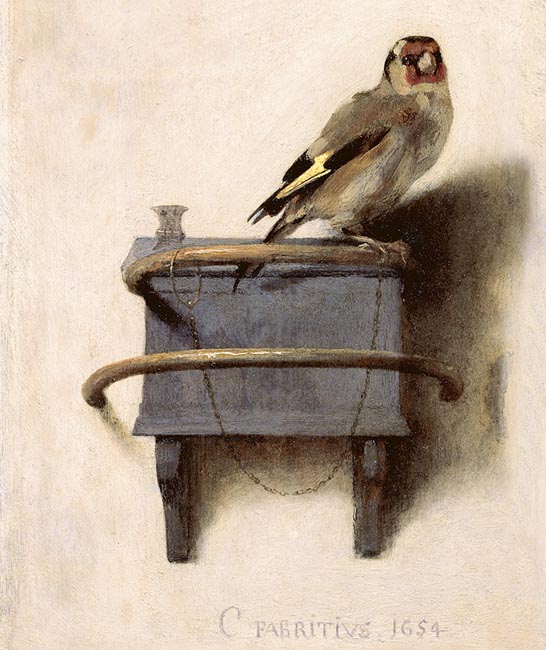 Carel-Fabritius-Goldfinch