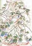 Dan Zhu The Spring Buds, 2019, pigment on paper, 31 x 22.5 cm