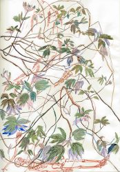 Dan Zhu, 'The Spring Buds', 2019, pigment on paper, 31 x 22.5 cm
