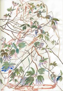 Dan Zhu, The Spring Buds, 2019, pigment on paper, 31 x 22.5 cm
