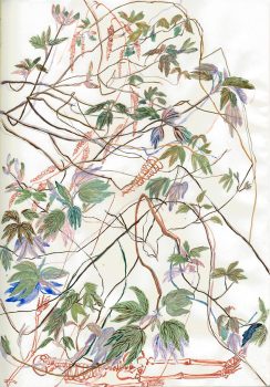 Dan Zhu, The Spring Buds, 2019, pigment on paper, 31 x 22.5 cm