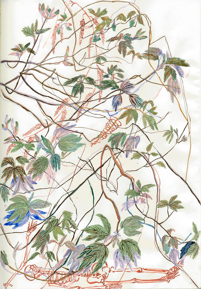 Dan Zhu The Spring Buds, 2019, pigment on paper, 31 x 22.5 cm