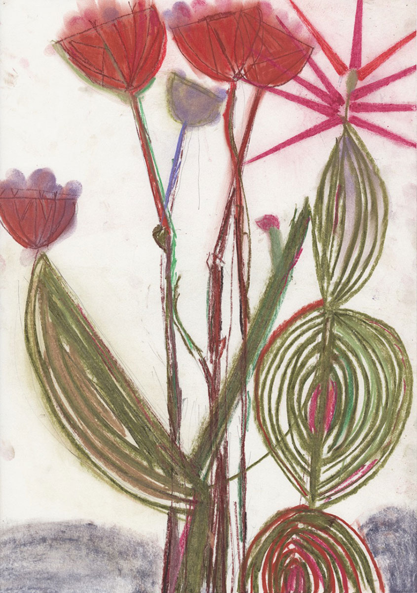 Dirk Zoete, Cactus Derivatives, 08 July 2020, pastel, pigment on paper, 42 x 30 cm