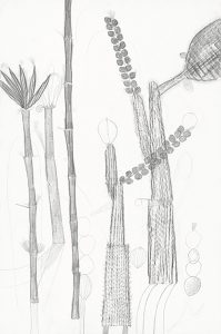 Dirk Zoete, Study for Cactus Species, 2018, pencil and graphite on paper, 110 x 73 cm