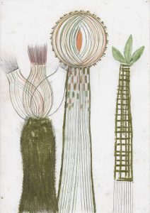 Dirk Zoete, The Cactus Derivatives, Wednesday November 6, 2019, pigment, (colour)pencil on paper, 29,7 x 21 cm