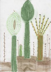 Dirk Zoete, Cactus Derivatives, Sunday 7 July 2020, pigment, (coloured)pencil on paper, 29,7 x 21 cm