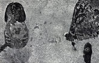 Ed Pien, Watery Spirits, 2024, intaglio print, edition 21, 31 x 49 cm