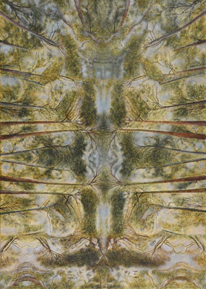 Elisabeth Trenkwalder