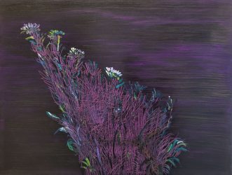 Erik Pape, Asters, 2024, oil paint on panel, 60 x 80 cm