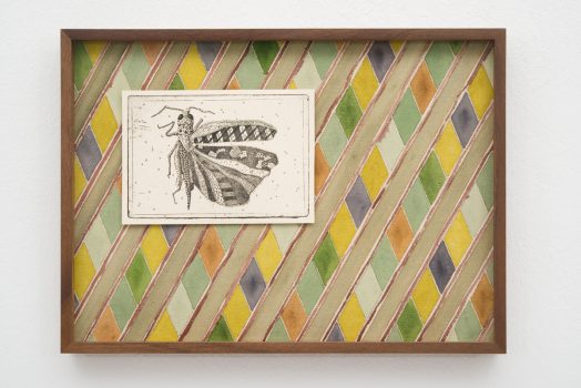 Jordan Herregraven, Grasshopper, 2025, etching and watercolour on canvas, 26 x 34 cm