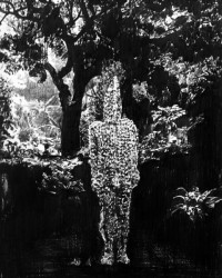 Thijs Zweers, Hain, 2012, pencil on paper, 40 x 32 cm