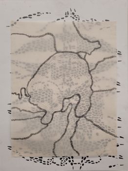 Karin van Dam, Lake Sumas, 2023, pencil, graphite on paper, 42 x 30 cm