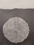 Karin van Dam, Seed, 2023, graphite on paper, 42 x 30 cm