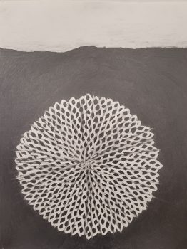 Karin van Dam, Seed, 2023, graphite on paper, 69 x 50 cm