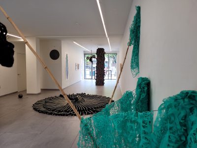Karin van Dam, Terrestrial Belts, exhibition overview