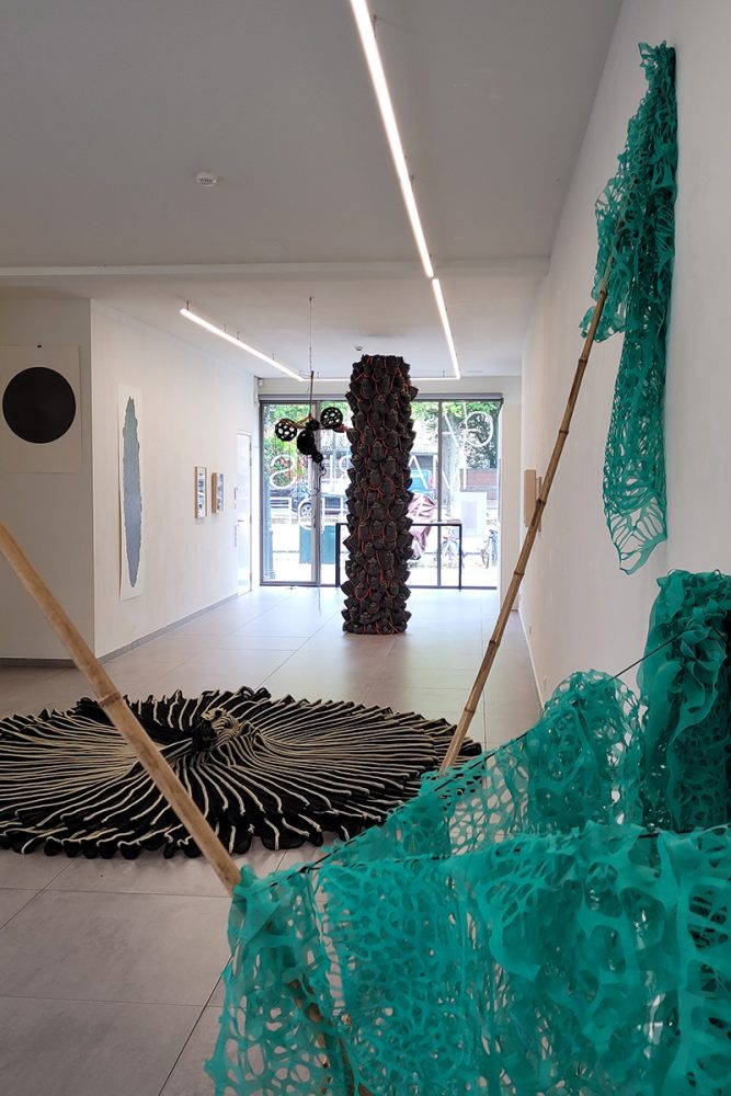 Karin van Dam, Terrestrial Belts, exhibition overview