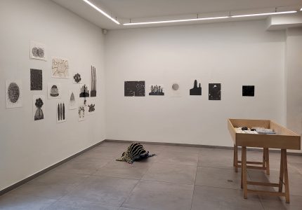 Karin van Dam, Terrestrial Belts, back room cabinet