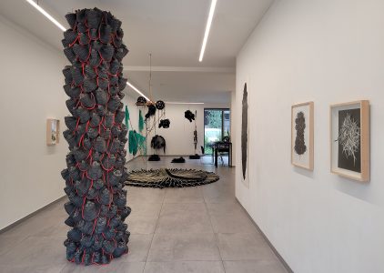 Karin van Dam, Terrestrial Belts, exhibition overview