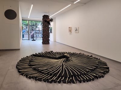 Karin van Dam, Terrestrial Belts, exhibition overview