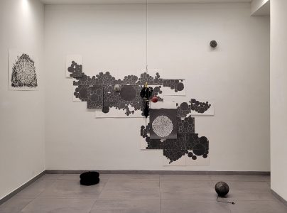 Karin van Dam, Terrestrial Belts, exhibition overview