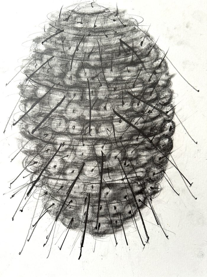 Karin van Dam, no title, 2025, pencil and graphite on paper, 42 x 30 cm
