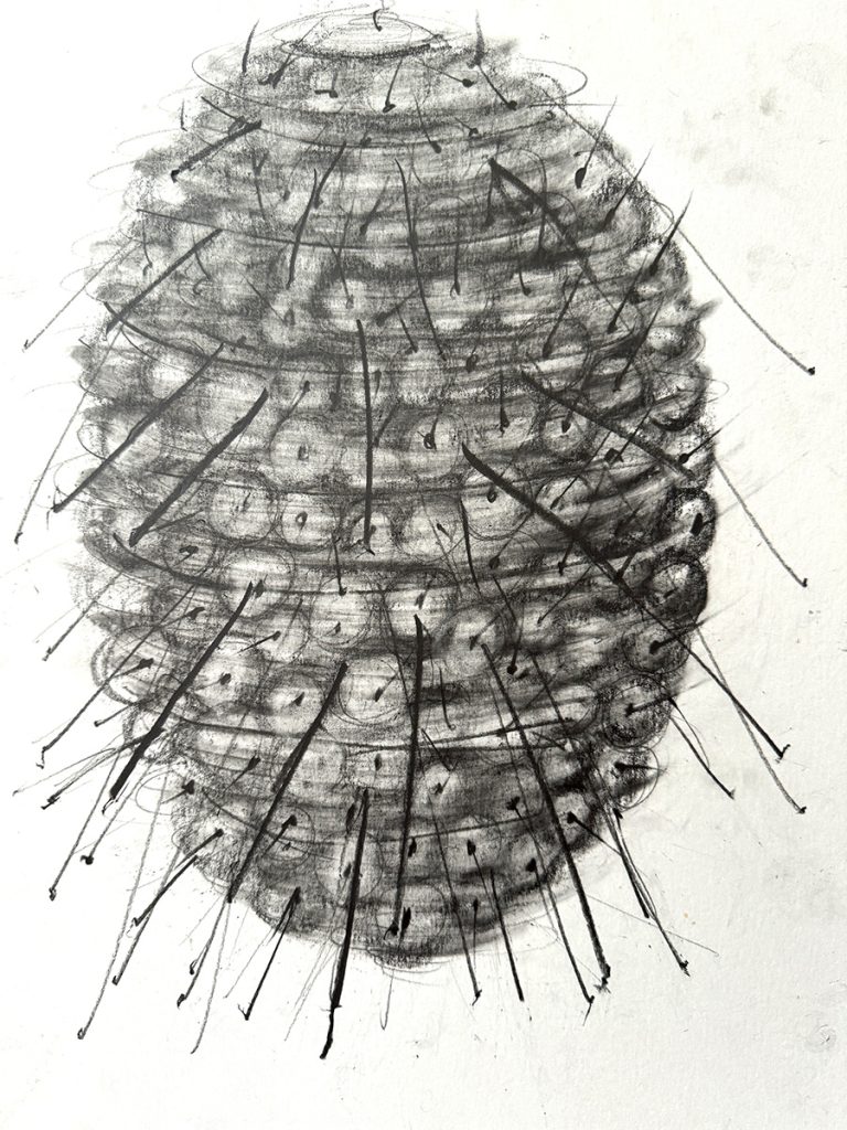 Karin-van-Dam-no-title-2025-pencil-and-graphite-on-paper-42x30cm Karin van Dam, no title, 2025, pencil and graphite on paper, 42 x 30 cm