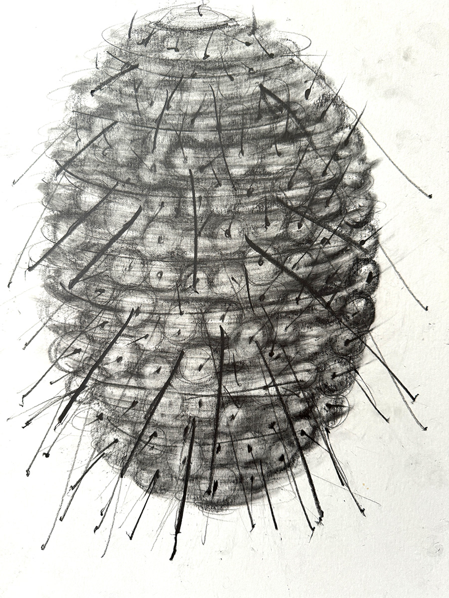 Karin-van-Dam-no-title-2025-pencil-and-graphite-on-paper-42x30cm Karin van Dam, no title, 2025, pencil and graphite on paper, 42 x 30 cm
