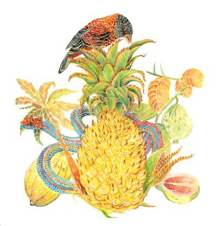 Kevin Simón Mancera, no title, 2024, gouache on paper, 42,5 x 45 cm