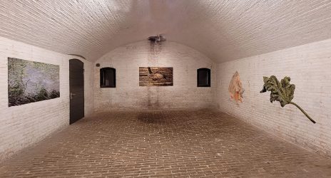 Martin Fenne, Art Island, stand 13