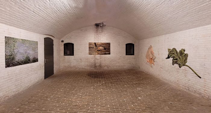 Martin Fenne, Art Island, stand 13
