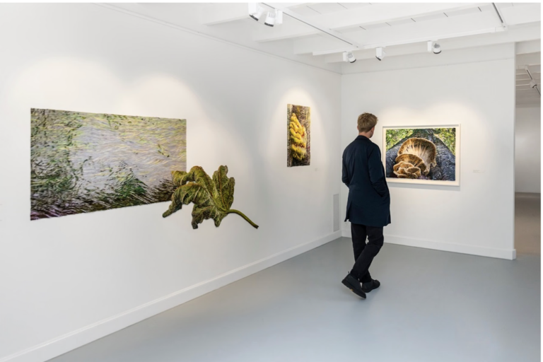 Martin Fenne toont zijn werk Fig Leaf, twee paddenstoel portretten en het werk Water tijdens Into the Woods in Museum MORE Twickel in Delden.