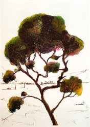 Roland Versloot, Family Tree, 2024, pastel on paper, 70 x 50 cm