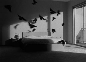 Ruben Bellinkx, The Black Sun (Crows), 2022, filmstill