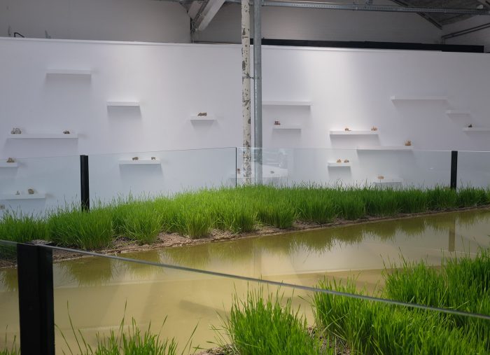 Zeger Reyers, My First Tractor II, 2024, installation, Kunstenlab, Deventer, photo Zeger Reyers