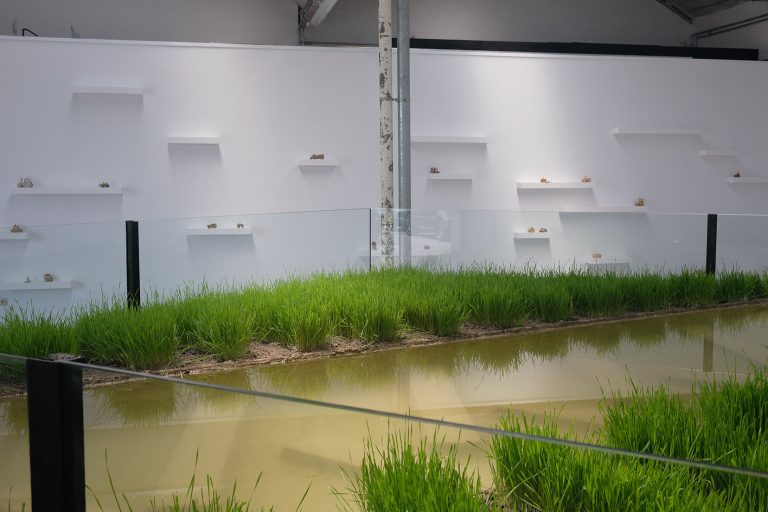 Zeger Reyers, My First Tractor II, 2024, installation, Kunstenlab, Deventer, photo Zeger Reyers