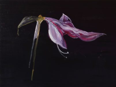 Erik Pape, Amaryllis, 2024, oilpaint on panel, 60 x 80 cm