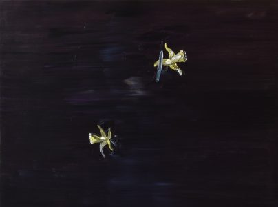 Erik Pape, Two Daffodils, 2025, oil paint on panel, 60 x 80 cm